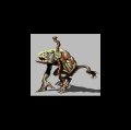 avatar for cantaloop@wyrms.de